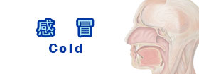 感冒 - Cold