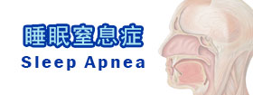 睡眠窒息症 - sleep apnea syndrome