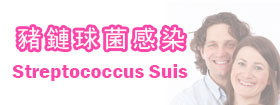 豬鏈球菌感染 - Streptococcus Suis
