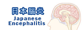日本腦炎 - Japanese Encephalitis