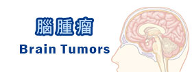 腦腫瘤 - Brain Tumors