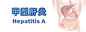 甲型肝炎 - Hepatitis A