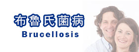 布魯氏菌病  - Brucellosis 