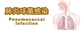 肺炎球菌感染  - Pneumococcal Infection