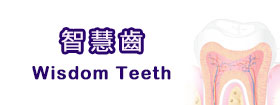智慧齒[Wisdom Teeth]