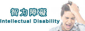 智力障礙 - Intellectual Disability