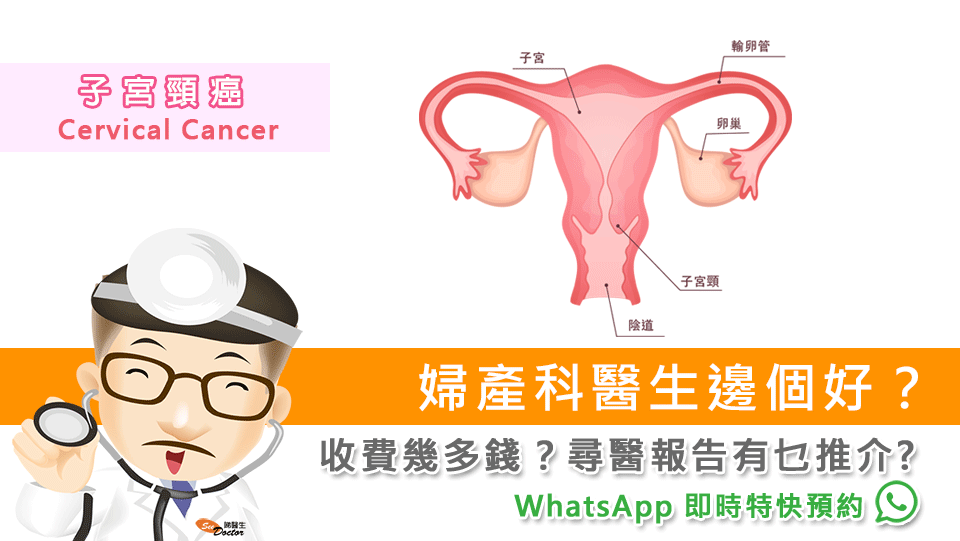 婦產科醫生邊個好？收費幾多錢？尋醫報告有乜推介?