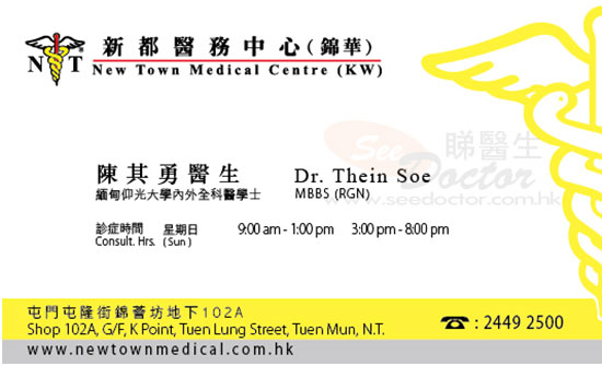 Dr THEIN SOE Name Card Dr THEIN SOE Name Card