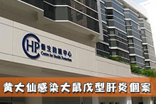 黃大仙感染大鼠戊型肝炎個案