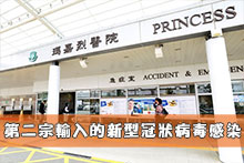 第二宗輸入的新型冠狀病毒感染