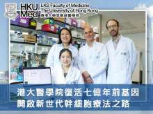 港大醫學院復活七億年前基因 開啟新世代幹細胞療法之路
