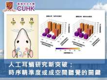 人工耳蝸研究新突破：時序精準度或成空間聽覺的關鍵