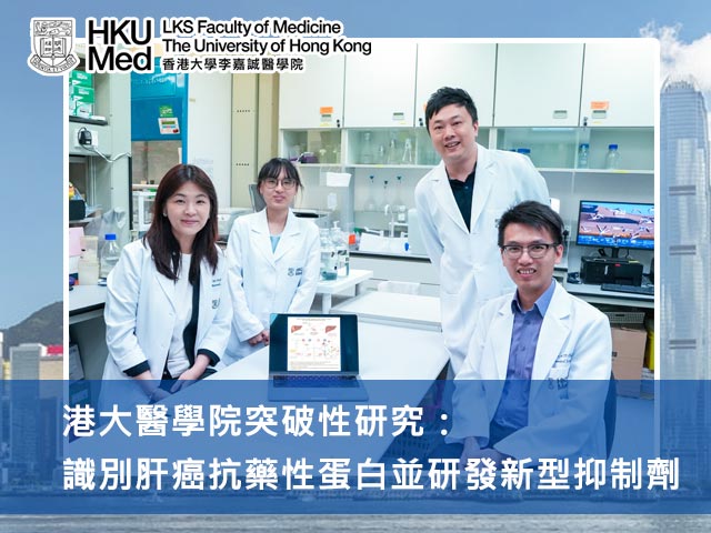 港大醫學院突破性研究：識別肝癌抗藥性蛋白並研發新型抑制劑