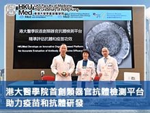 港大醫學院首創類器官抗體檢測平台 助力疫苗和抗體研發