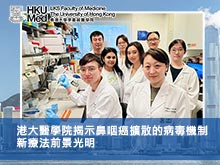 港大醫學院揭示鼻咽癌擴散的病毒機制 新療法前景光明