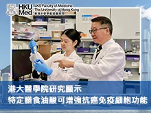 港大醫學院研究顯示特定膳食油酸可增強抗癌免疫細胞功能