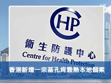 香港新增一宗基孔肯雅熱本地個案