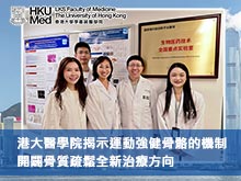 港大醫學院揭示運動強健骨骼的機制 開闢骨質疏鬆全新治療方向