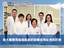 港大醫學院發現脂肪肝新藥或有助預防肝癌